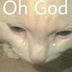 Meet your Posher, Geneva